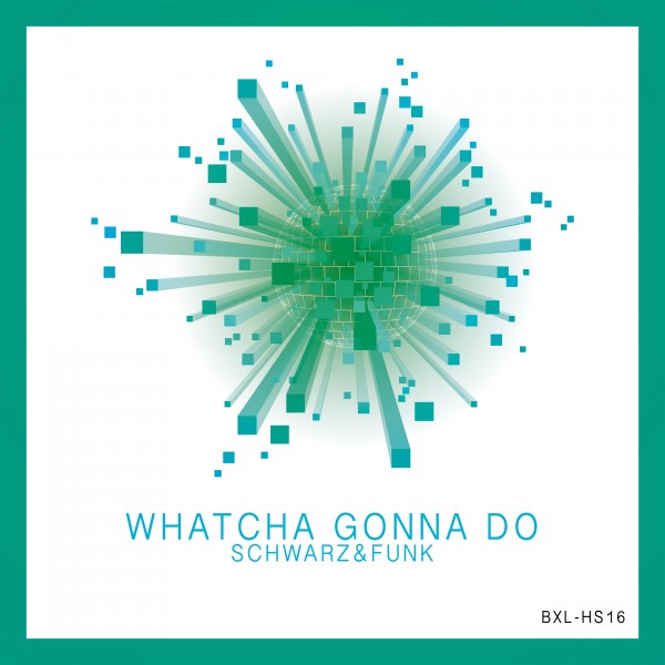 Schwarz & Funk - Whatcha Gonna Do [10184043]